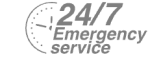 24/7 Emergency Service Pest Control in Gidea Park, Heath Park, RM2. Call Now! 020 8166 9746