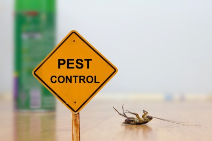 Pest Contol in Gidea Park, Heath Park, RM2. Call Now 020 8166 9746